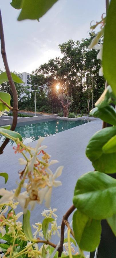 Luxury Apartment Stefanija Tivat Exteriér fotografie